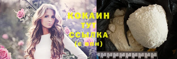 крисы Бородино
