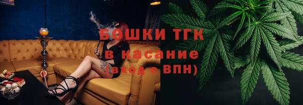 крисы Бородино