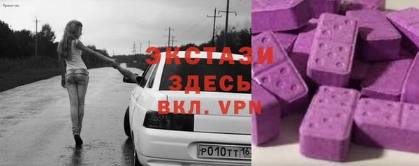 крисы Бородино