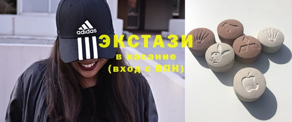 крисы Бородино