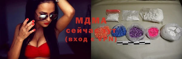 крисы Бородино