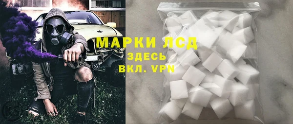 крисы Бородино